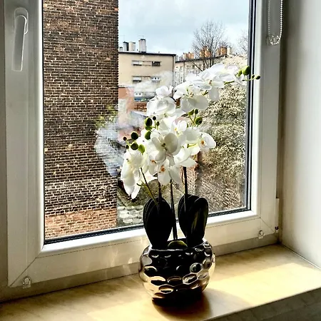 1 Maja 94 Center Appartement *