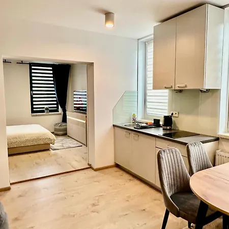 Apartman 1 Maja 94 Katowice