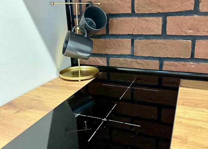 Apartment 1 Maja 94 Free Parking, Free Wifi, Self Check-in Katowice