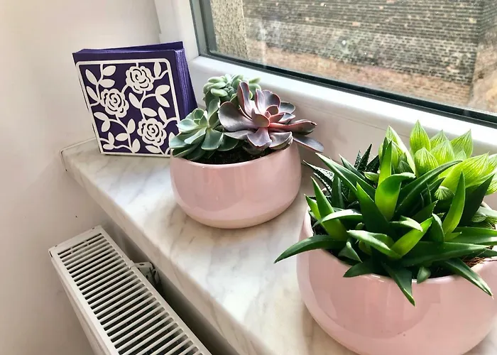 公寓 1 Maja 94 卡托维兹